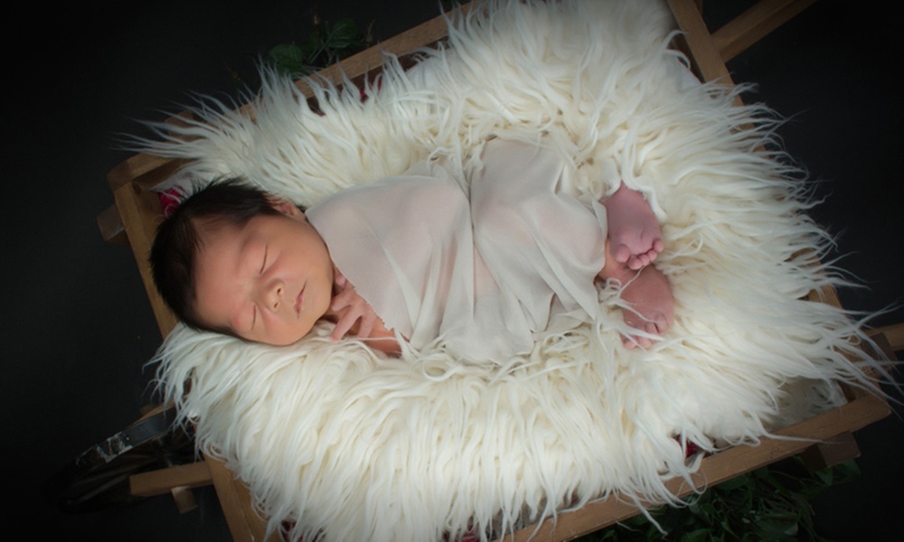 Newborn Photo Shoot with Portrait Sheets or Digital Image