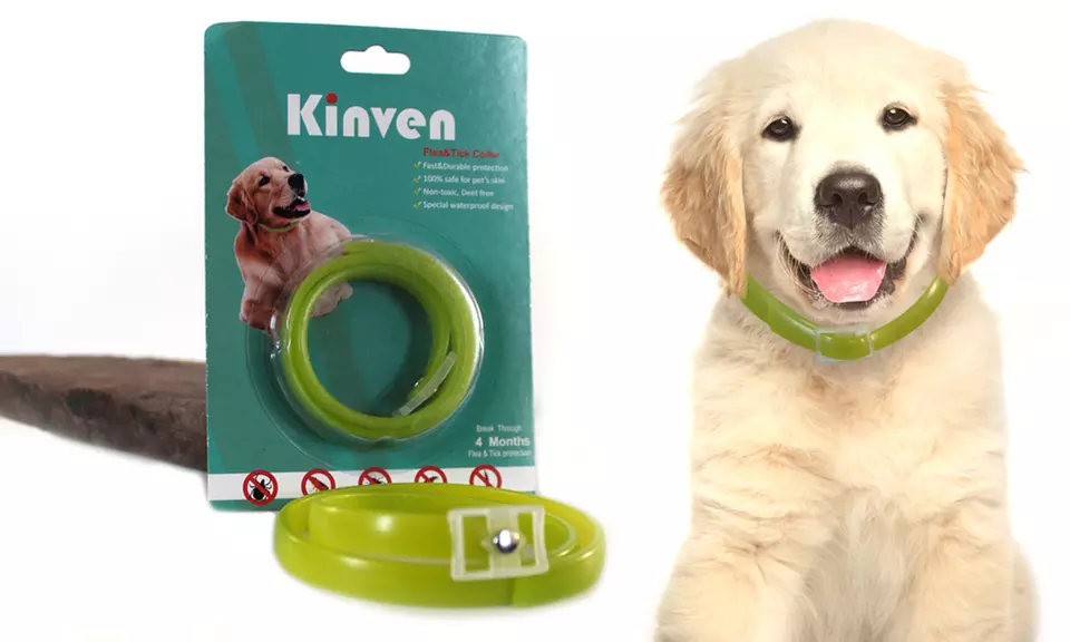 Kinven Flea and Tick Collar for Dogs and Cats (1- or 2-Pack) - Primary Image