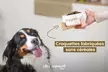Bon d'achat de 20 € à utiliser sur le site d'alimentation pour chien et chat (avec 90% de remise) - Second Medium