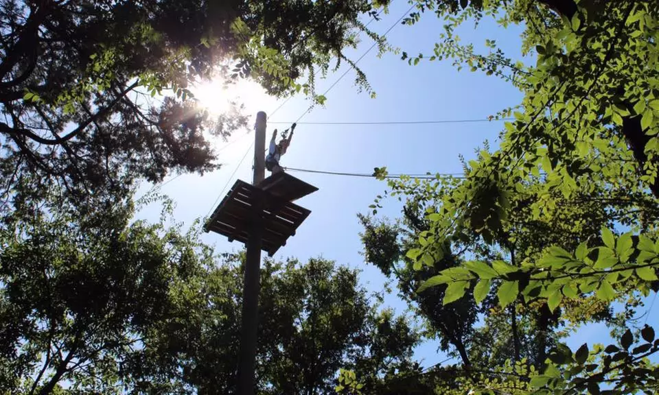 Up to 42% Off Aerial Adventure Park Experience: Trinity Forest