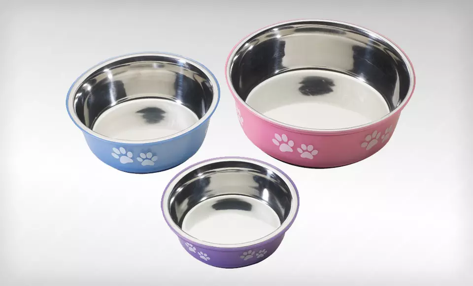 Fusion Designer Stainless Steel Pet Bowls (Up to 78% Off). Nine Options Available. Free Returns. - Primary Image