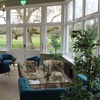 Image 2: Revive & Dine: Spa Access with Afternoon Tea or Platter for One or Two