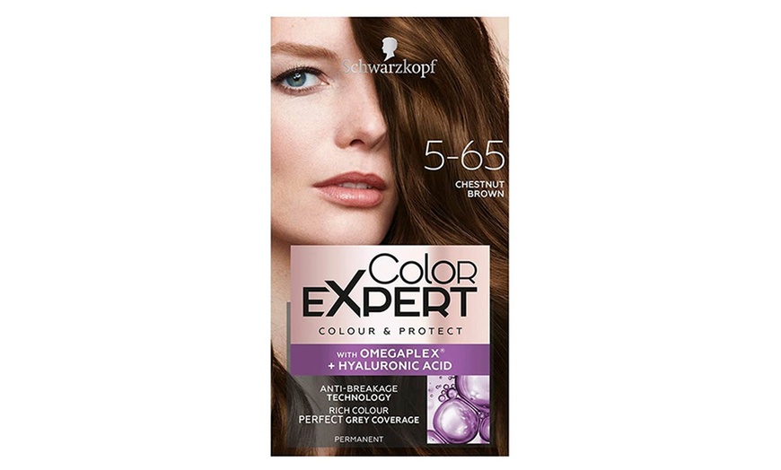 Image 24: Schwarzkopf Color Expert Hair Dye