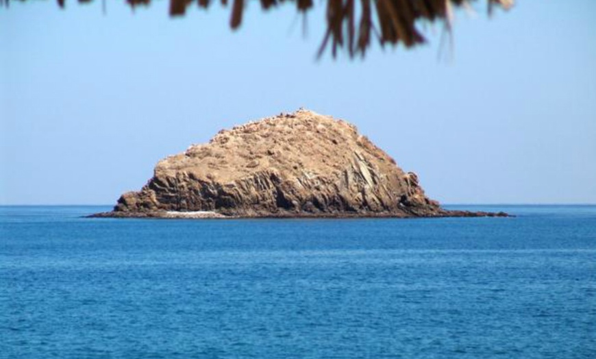 Image 6: Fujairah: 1- or 2-Night 5* Stay with Scuba Diving