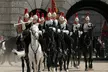 Explore British Heritage: Entry for One or Two to The Household Cavalry Museum (Up to 25% Off) - Second Medium