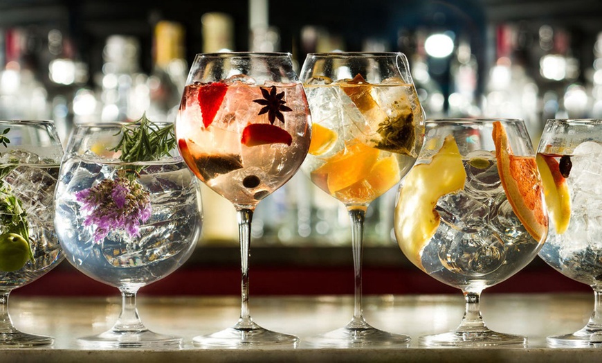 Image 1: Trio of Gins with Mixers