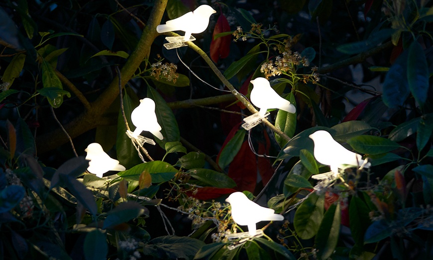 Image 4: Solar Bird Tree Lights