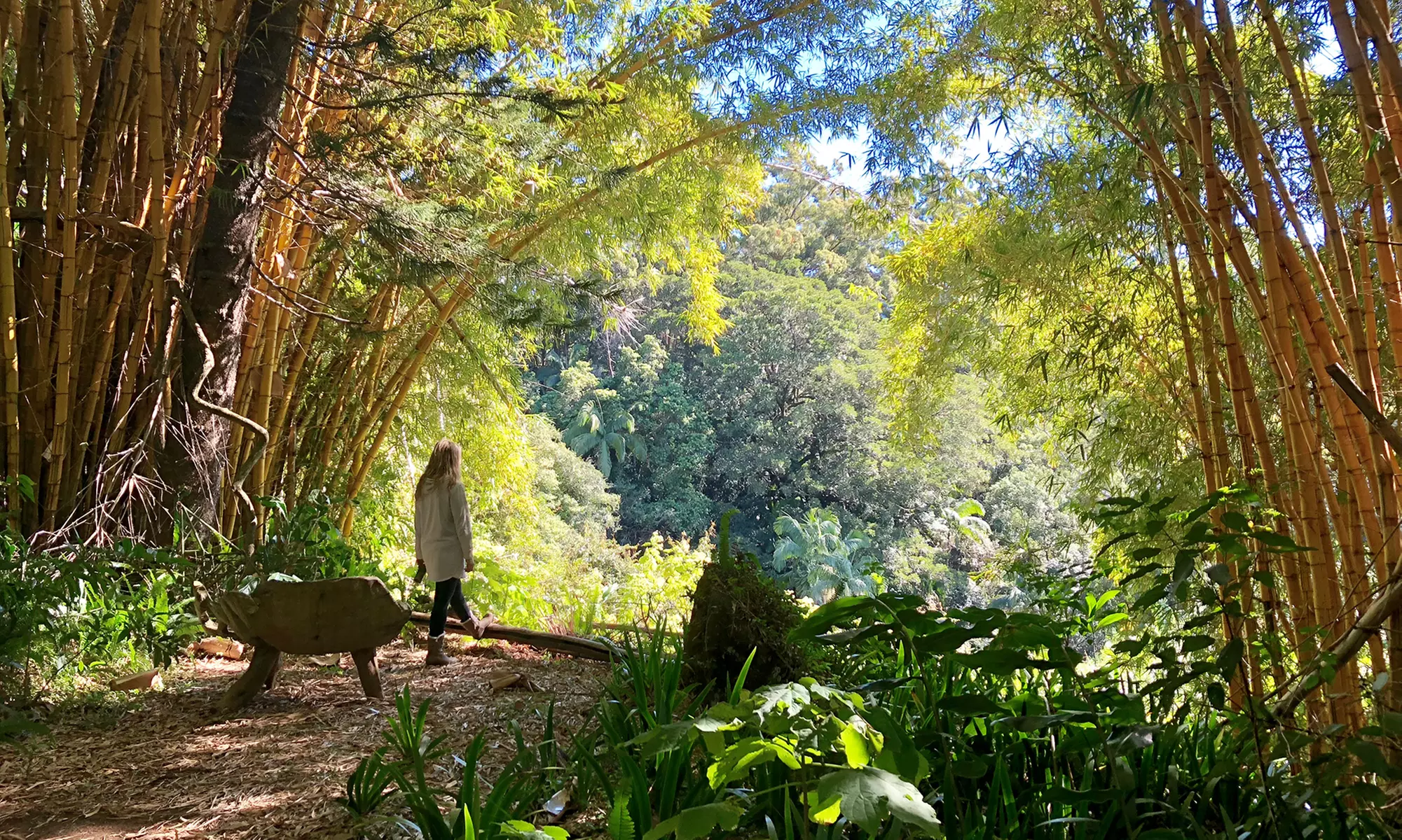 Meditation & Mindfulness Workshop