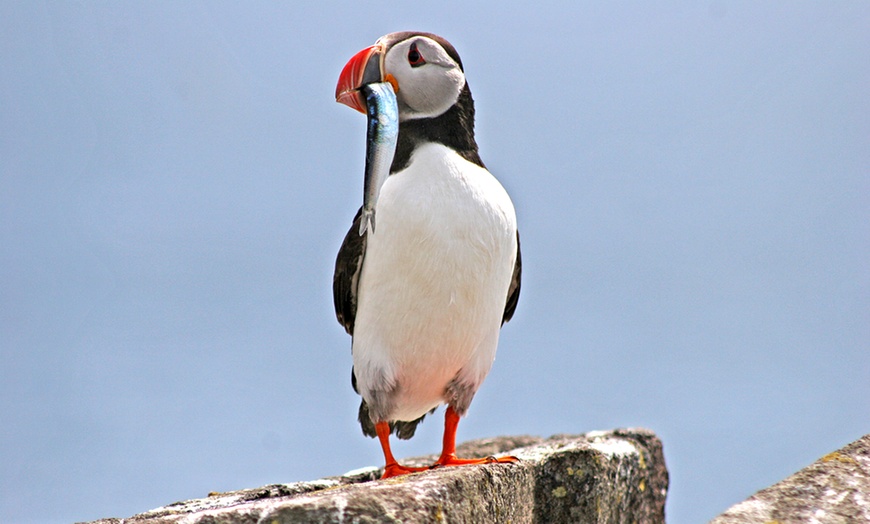 Image 4: Three Bridges Cruise Boat Tour for up to Four people (up to 30% off)