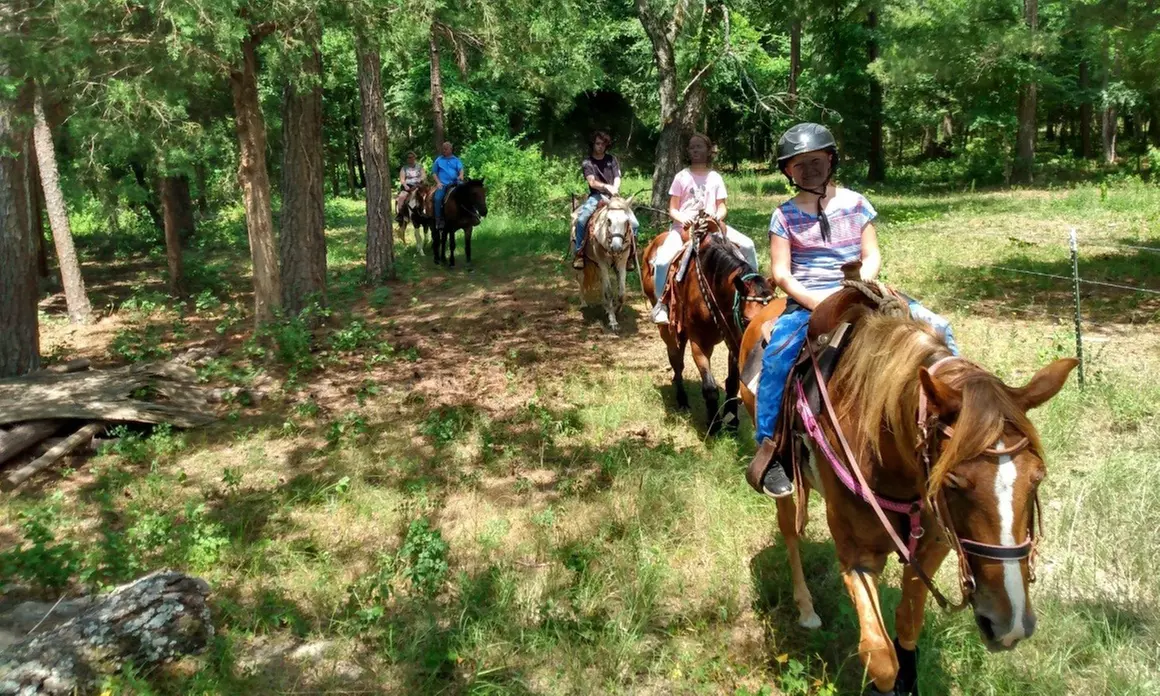 Up to 20% Off on Horse Back Riding at Zabcik Ranch LLC