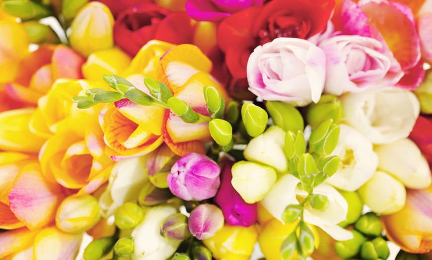 Image 6: Scented Freesia Mixed Colour Bulbs