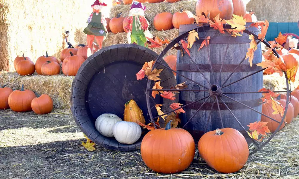 Adult, Child, or Family Pass Admission to Pumpkin Party (Up to 41% Off) - Second Medium