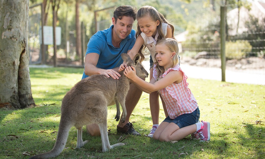 Image 16: Unlimited Entry to 4 Theme Parks