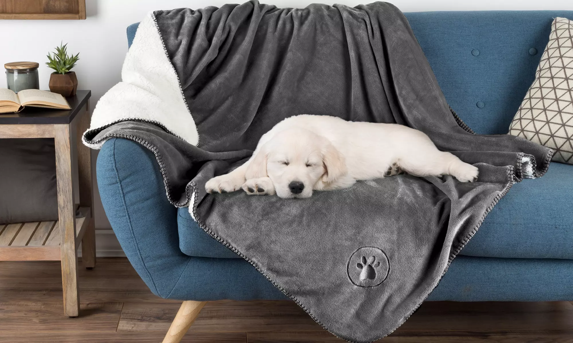 Petmaker Waterproof 50" x 60" Soft Plush Pet Throw - Primary Image