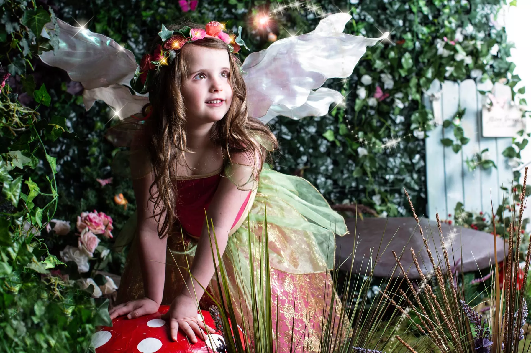 Up to 90% Off on Studio Photography at Nicola Bald Photography