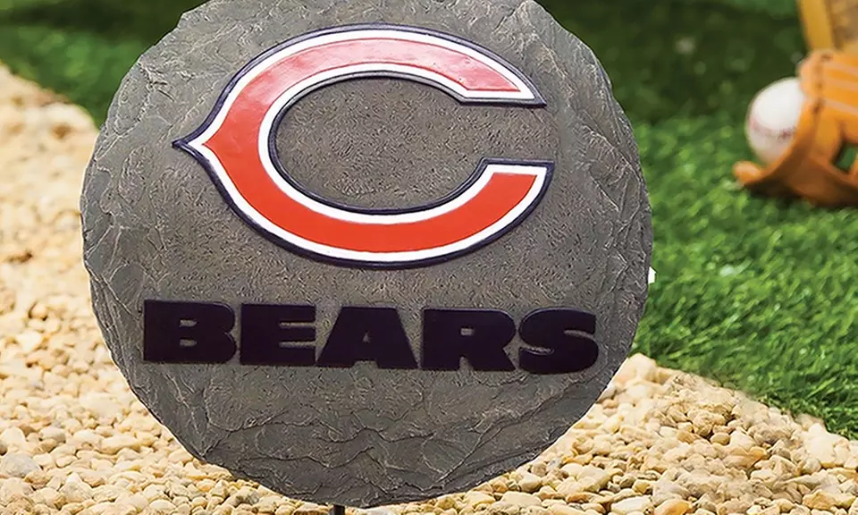 NFL Stepping Stone - Primary Image