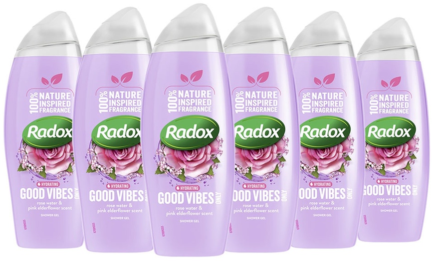 Image 3: Six Bottles of Radox Shower Gel