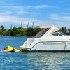 Image 1: Two or Four Hour Private 35 Foot Yacht Cruise for Up to 10 Guests