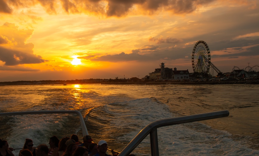 Image 7: Dolphins, Speed & Sunsets—Cruises for All Ages!