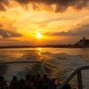 Image 7: Dolphins, Speed & Sunsets—Cruises for All Ages!