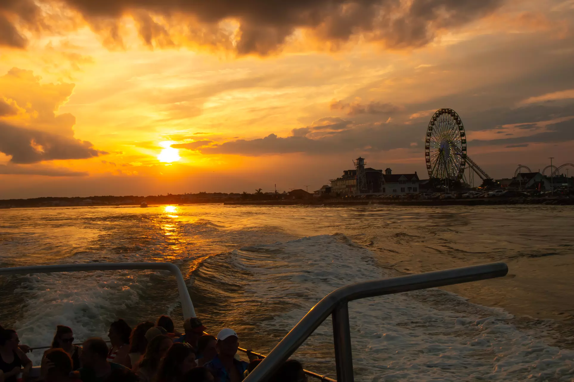 Dolphins, Speed & Sunsets—Cruises for All Ages!