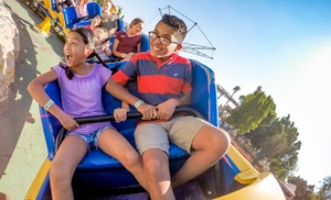 Castle Park Admission (58% Off)