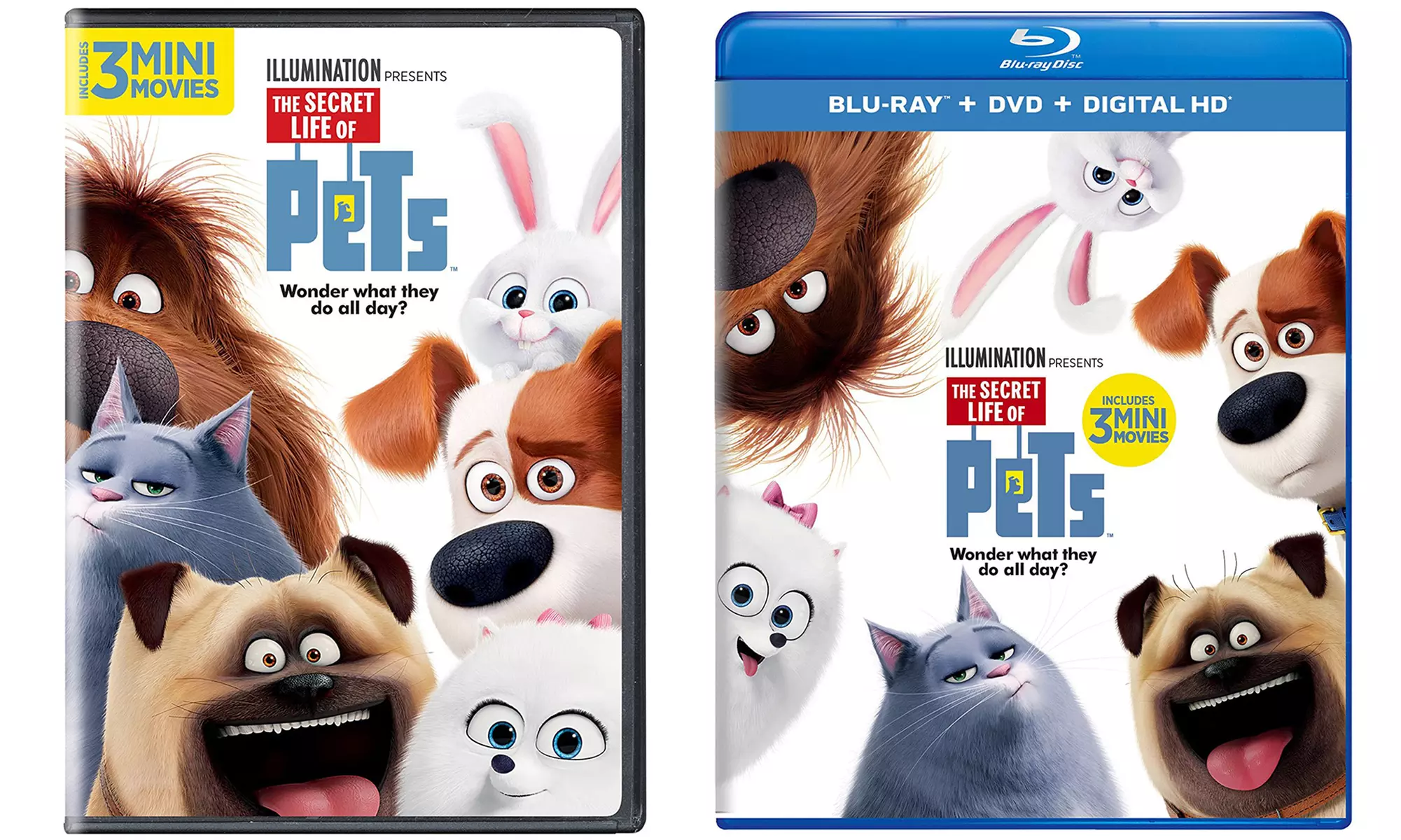 The Secret Life of Pets on DVD or Blu-ray - Primary Image