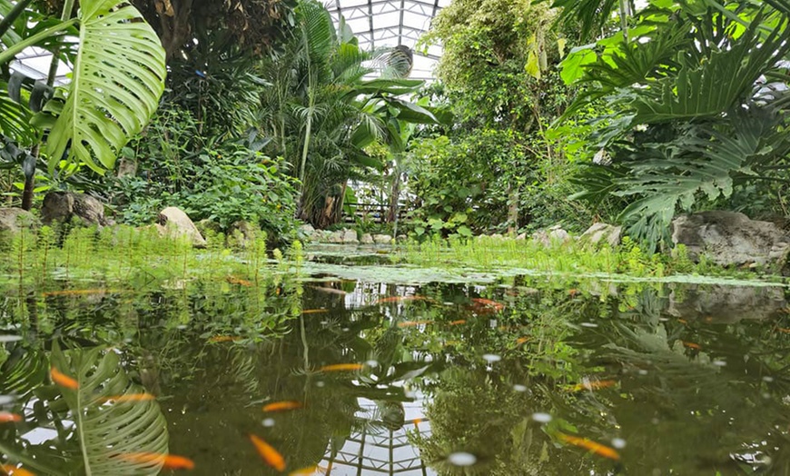 Image 8: Magic of London Butterfly Gardens with Entry for Adults and Children!