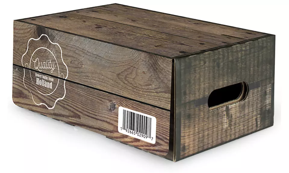 Classic Dutch Garden Flower Bulbs (125-Piece) - Second Medium