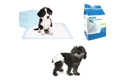 Fino a 100 pannolini assorbenti e traversine per cani disponibili in varie misure