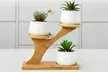 Lot de 3 pots de fleurs en céramique pour succulentes, modèle au choix - Image 7