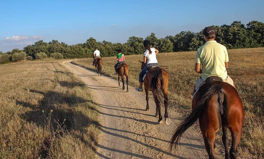 Image 25: Maremma 4*: 1 o 2 notti in camera Classic con Spa illimitata e drink