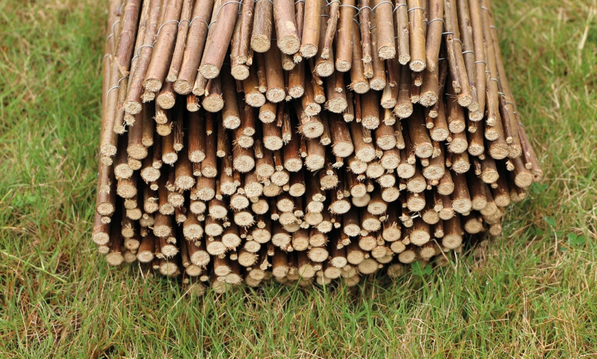 Image 5: Willow Cane Fence