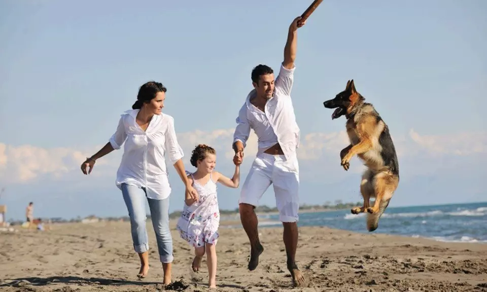 ESA & Psychiatric Service Dog Letters — Single or Combo Options