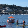 Image 1: Sail into Adventure: Cruise the Waves with Donut Boat Rentals!