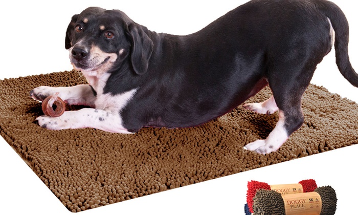 absorbent dog mat