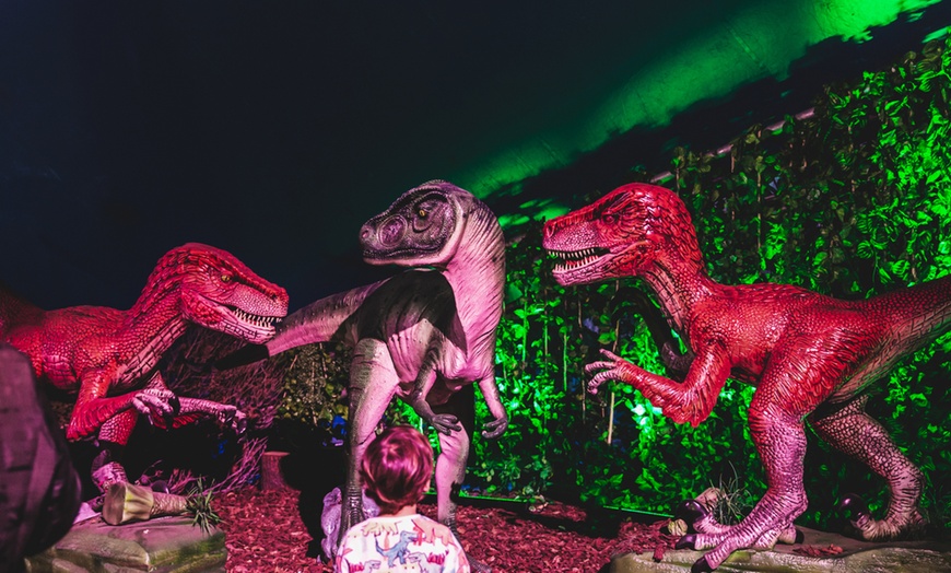 Image 5: Visita temática y exposición