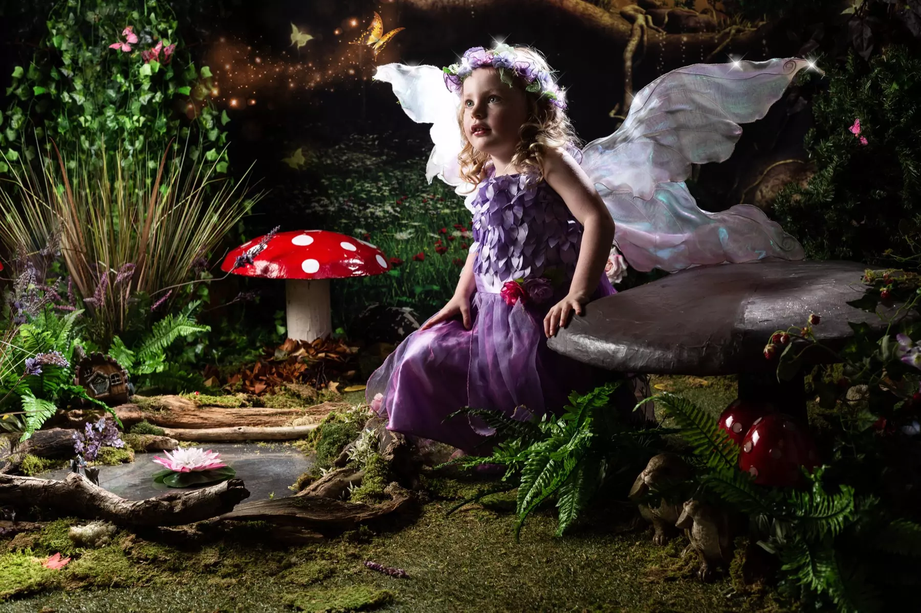 Up to 90% Off on Studio Photography at Nicola Bald Photography