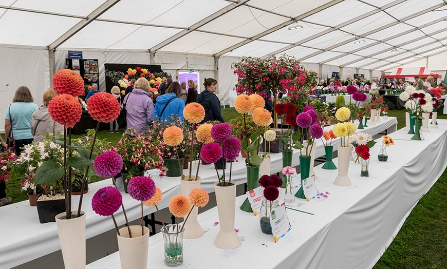 Image 2: Chorley Flower Show