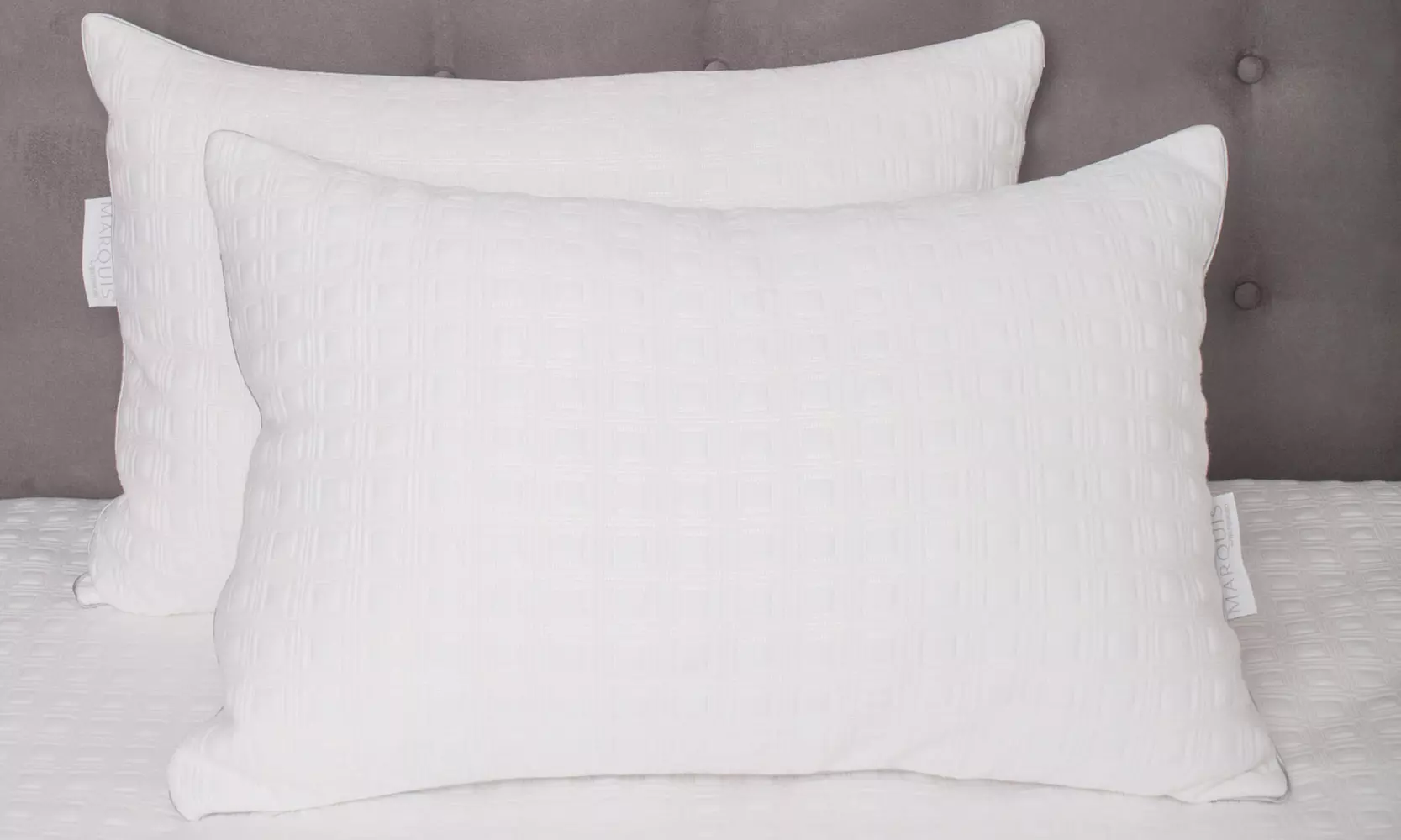 Waterford Marquis Crosby Knit Latex Plus Jumbo or King Pillow (2-Pack) - Primary Image