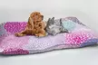 Coussins géants pour chien ou chat grand confort - Second Medium