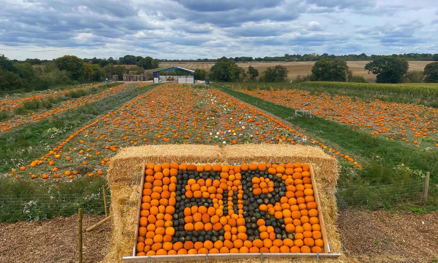 Image 4: Entry with Halloween Maze to Hatters Farms Pumpkins