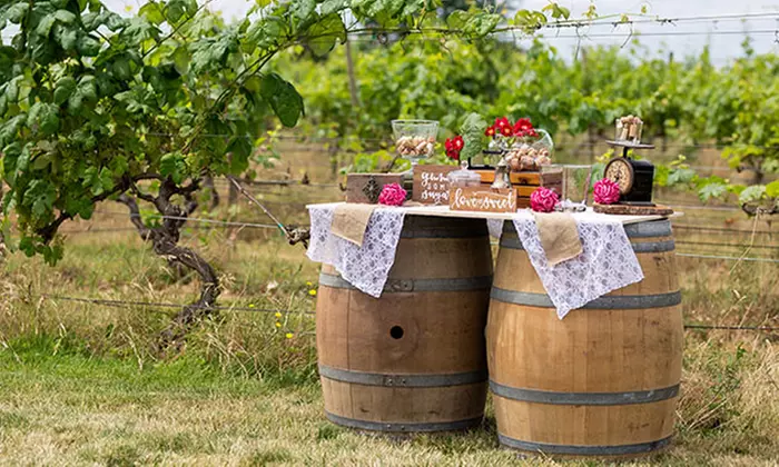 Wine Tour, Tasting, and Charcuterie for One, Two, or Four People at Vinoscenti Vineyards (Up to 58% Off) - Second Medium