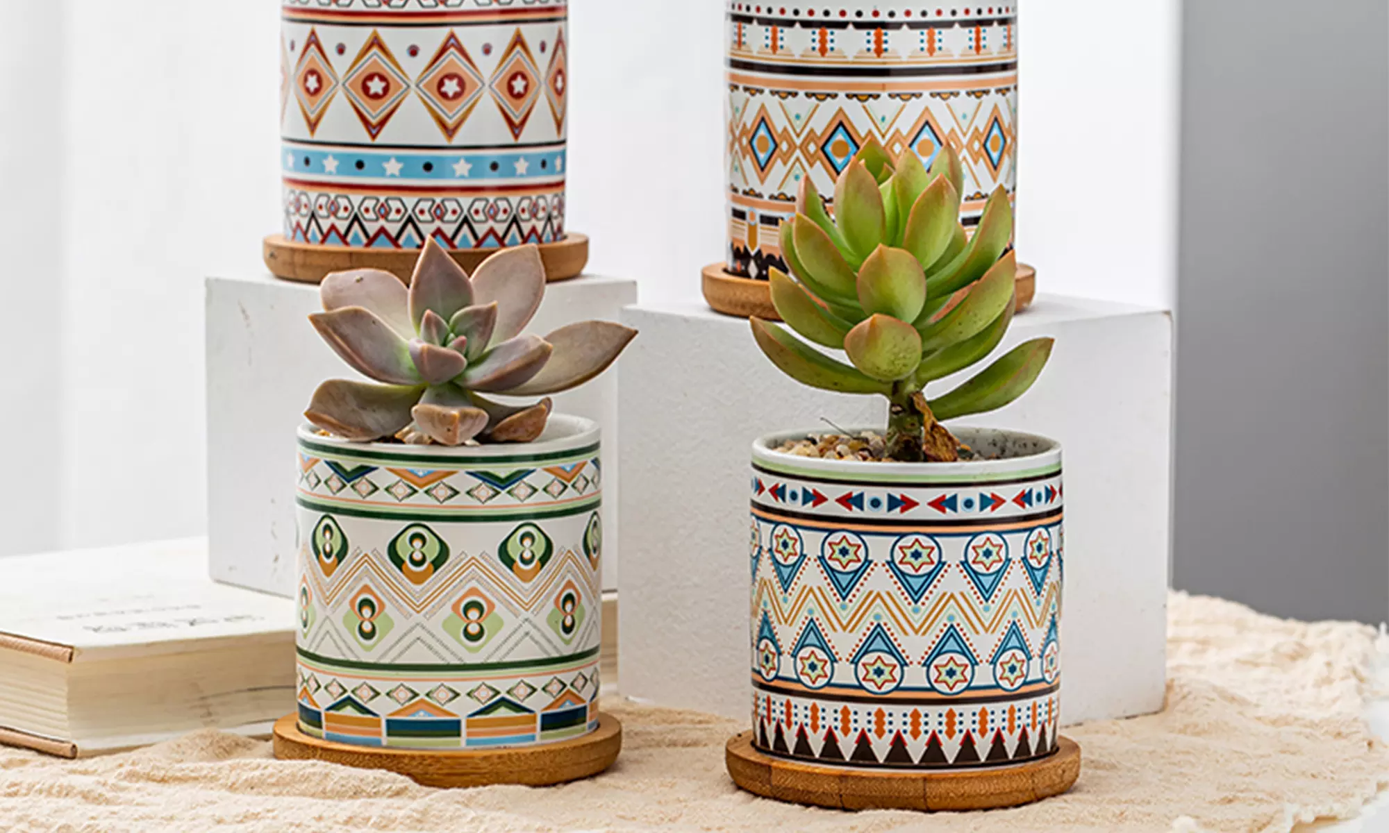 Lot de 3 pots de fleurs en céramique pour succulentes