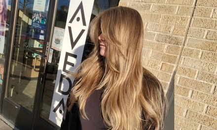 Haircut with Botanical Treatment, Blowdry & Style - D'Ametri's Aveda