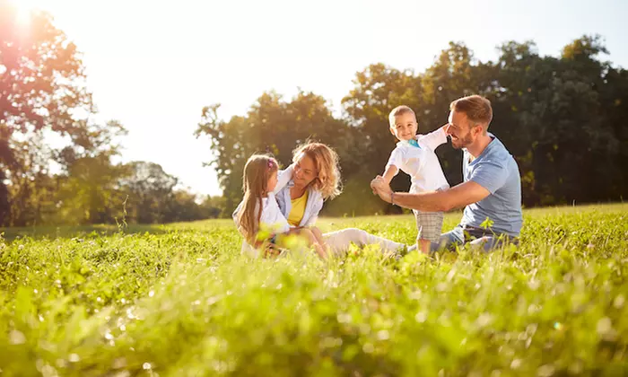 CBD Skin Care or Pain Relief Cream from Rx Canna Care (Up to 42% Off) - Primary Image