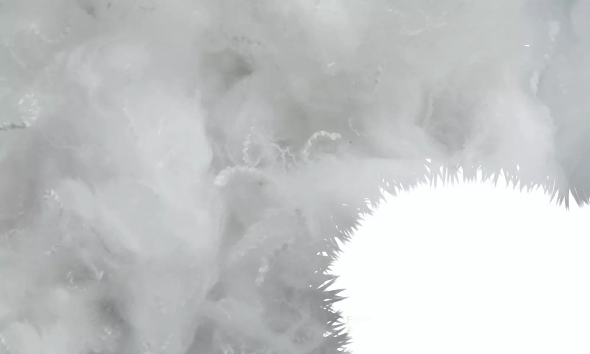 SAMPUR Baumwoll-Matratzen-Topper in der Größe nach Wahl - Second Medium