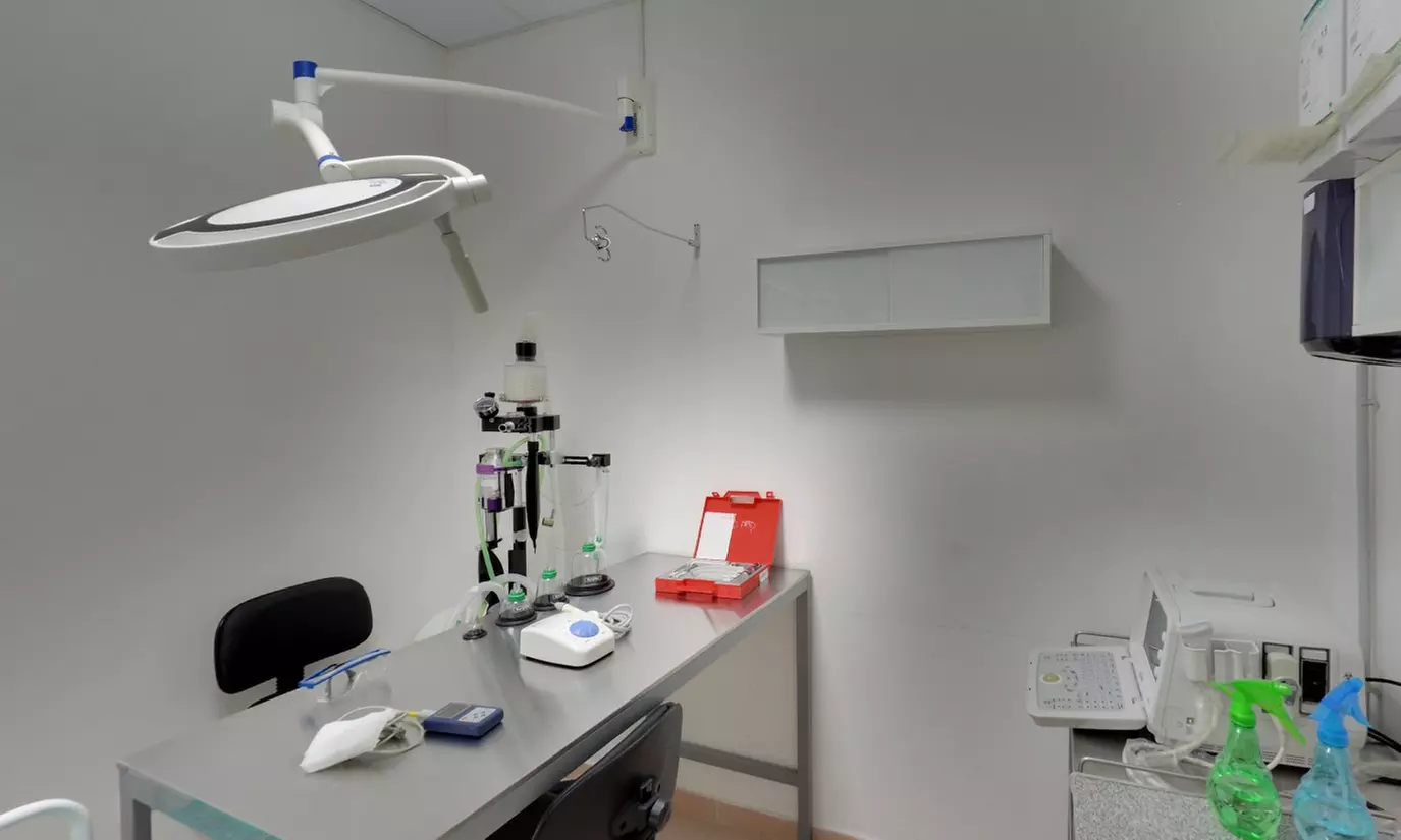 Mantén a tu compañero sano: vacunas para 1 perro o gato a elegir