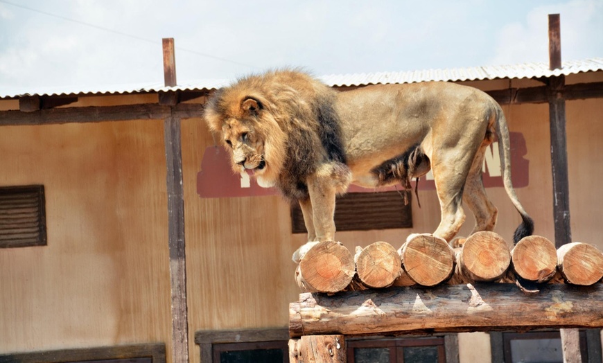 Image 10: ¡Diversión familiar! Entrada a Terra Natura Murcia para 1 a 4 personas