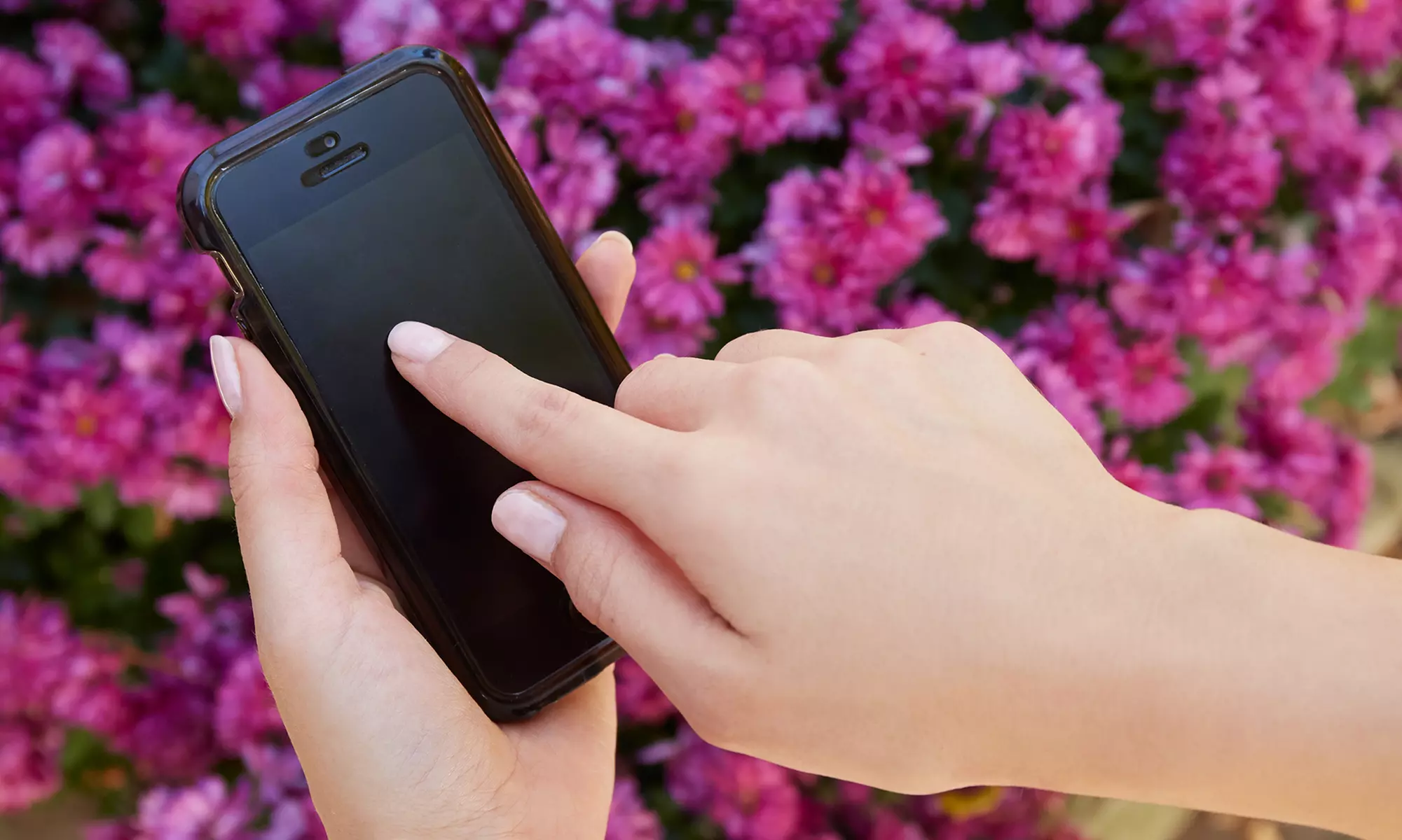 iPhone Screen Repairs at YVR Repair (Up to 27% Off). Six Options Available. - Primary Image